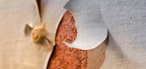 典型高強(qiáng)緊固件海南雨水環(huán)境腐蝕及防護(hù)研究